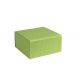 Geschenkdoos Smartbox 20x19x10cm Lichtgroen – Set van 60 stuks.