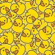 Kids DUCKY