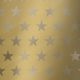 Luxe gemetalliseerd ETOILE GOLD